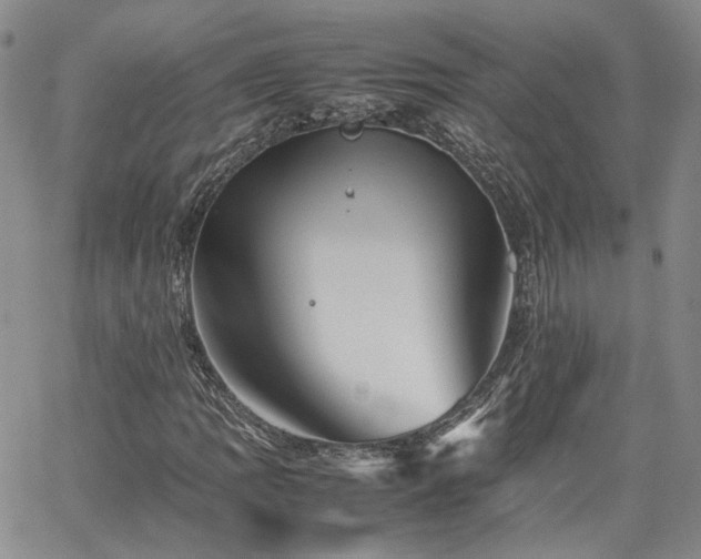 X0000062171109200512091423