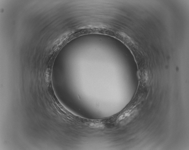 X0000062171110200512091423