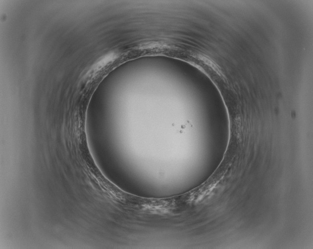 X0000062171111200512091423