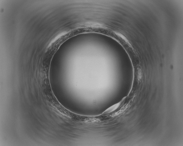 X0000062171112200512091423