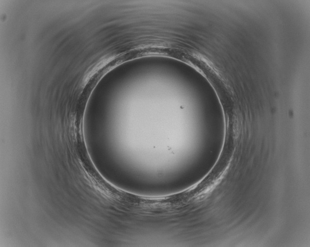 X0000062171113200512091423