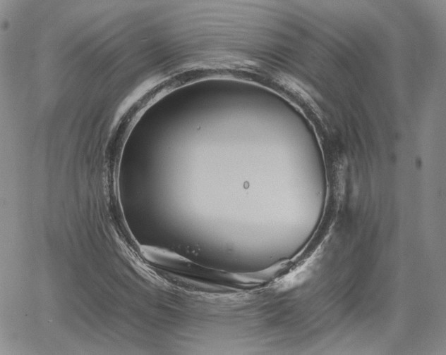 X0000062171114200512091423