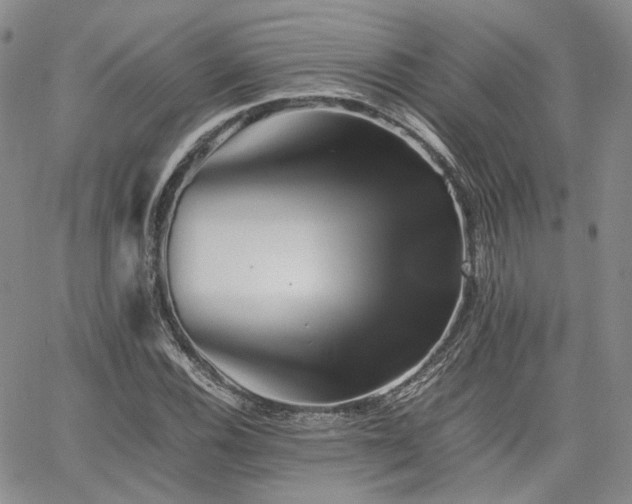 X0000062171116200512091423