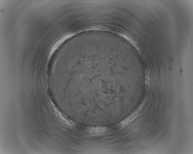 X0000062171117200512091423