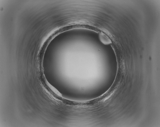 X0000062171118200512091423