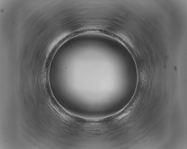 X0000062171119200512091423