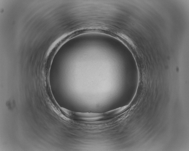 X0000062171120200512091423