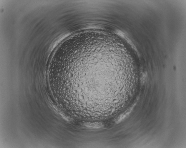 X0000062171121200512091423