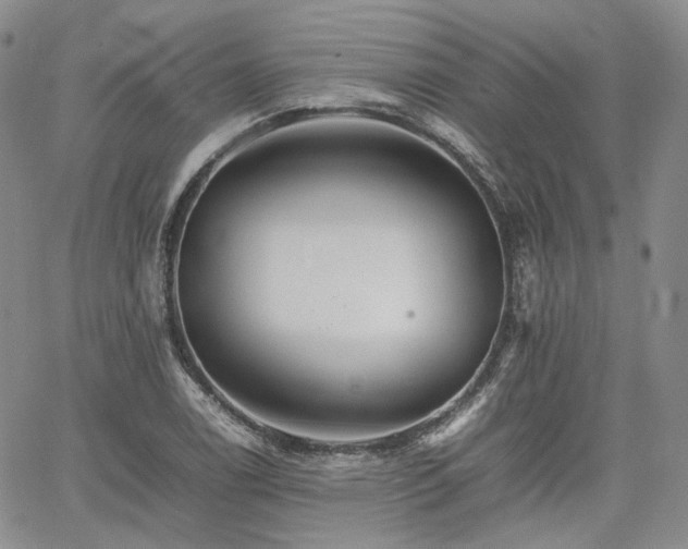 X0000062171122200512091423