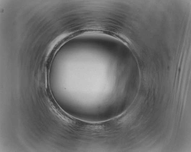 X0000062171123200512091423