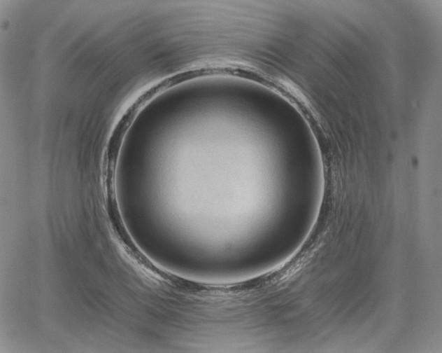 X0000062171124200512091423