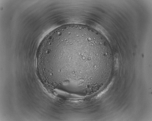 X0000062171125200512091423