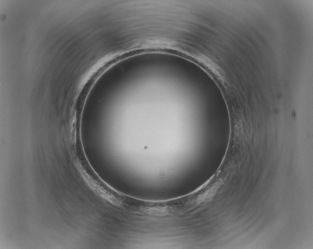 X0000062171126200512091423