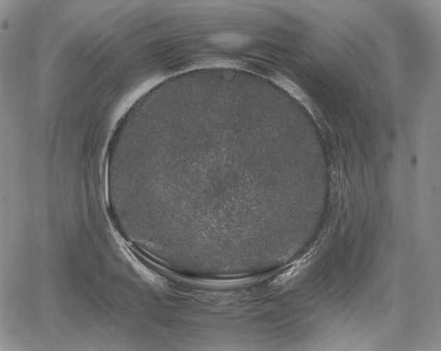 X0000062171127200512091423