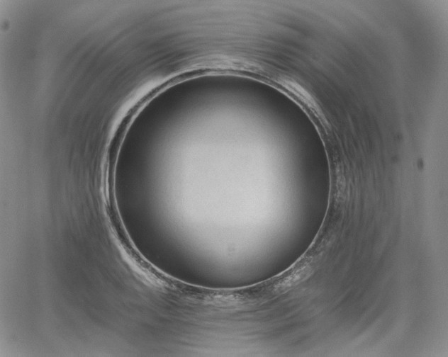 X0000062171128200512091423