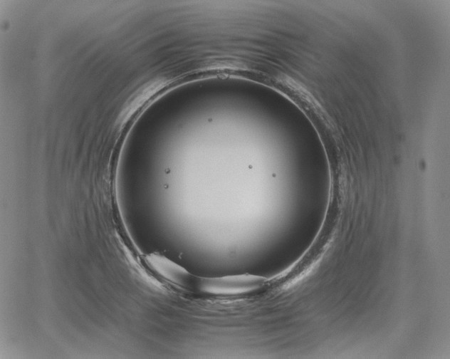 X0000062171129200512091423