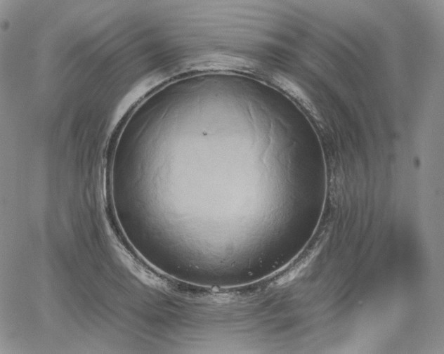 X0000062171130200512091423