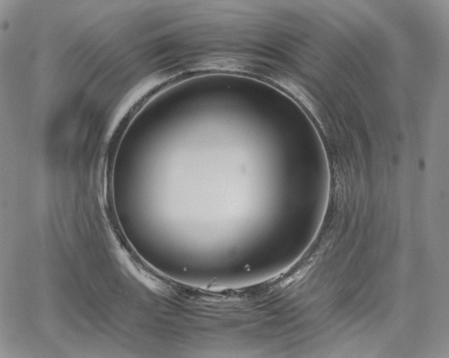 X0000062171131200512091423