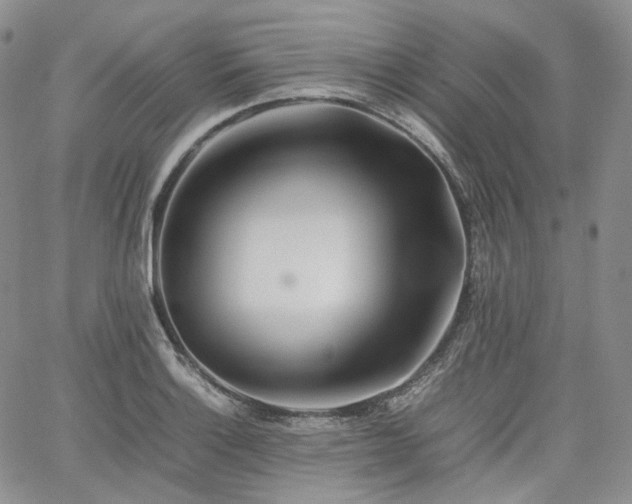 X0000062171132200512091423