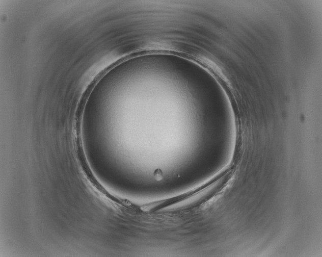 X0000062171133200512091423