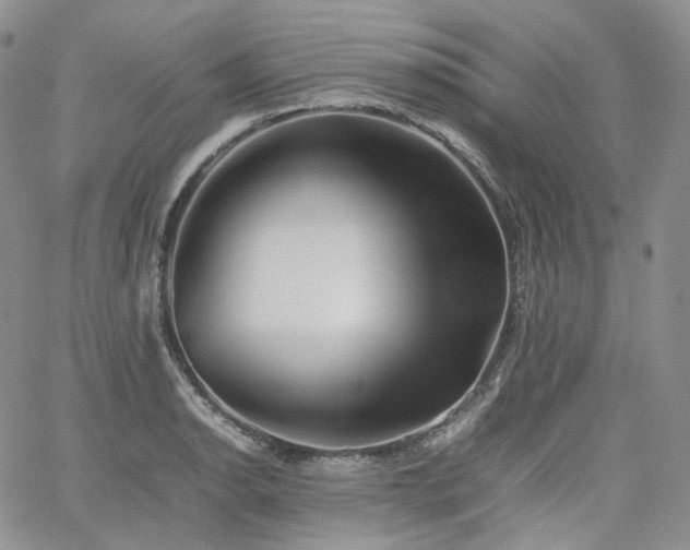 X0000062171134200512091423