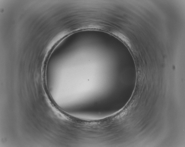 X0000062171135200512091423