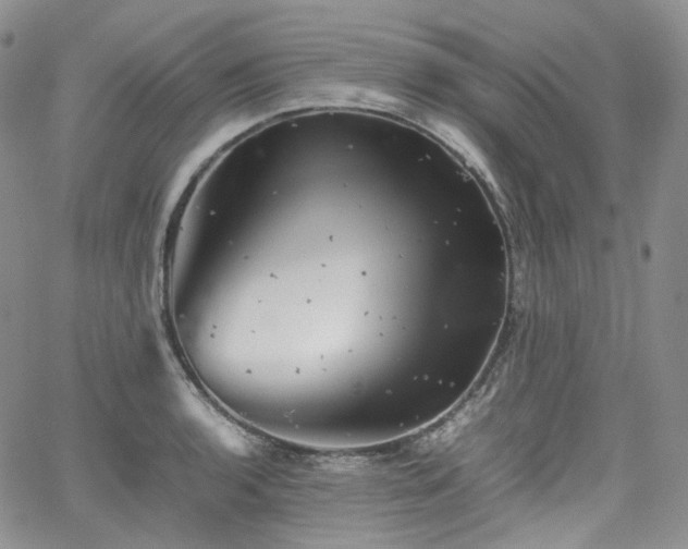 X0000062171136200512091423