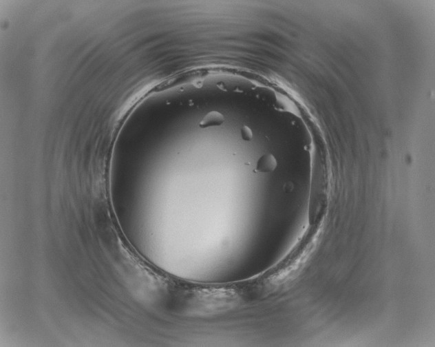 X0000062171137200512091423