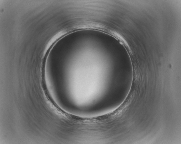 X0000062171138200512091423