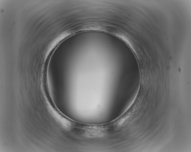 X0000062171139200512091423