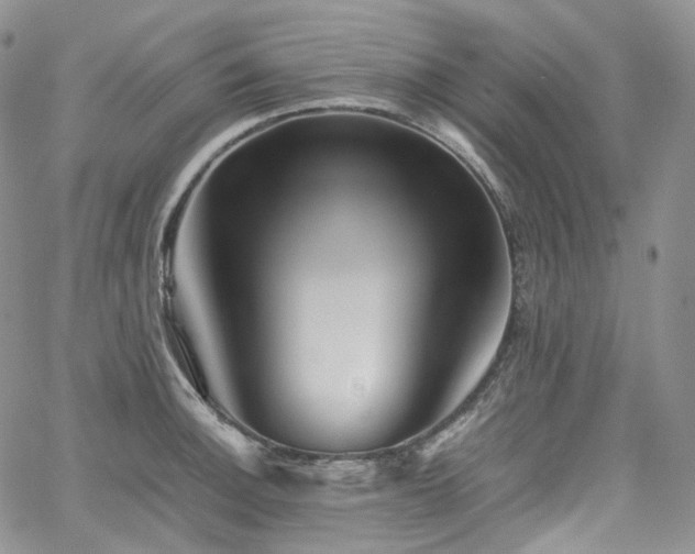 X0000062171140200512091423