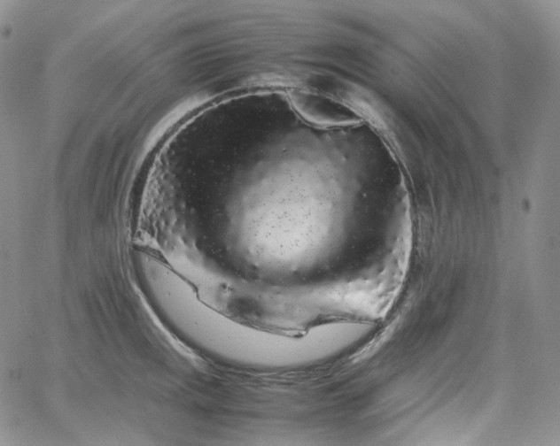 X0000062171141200512091423