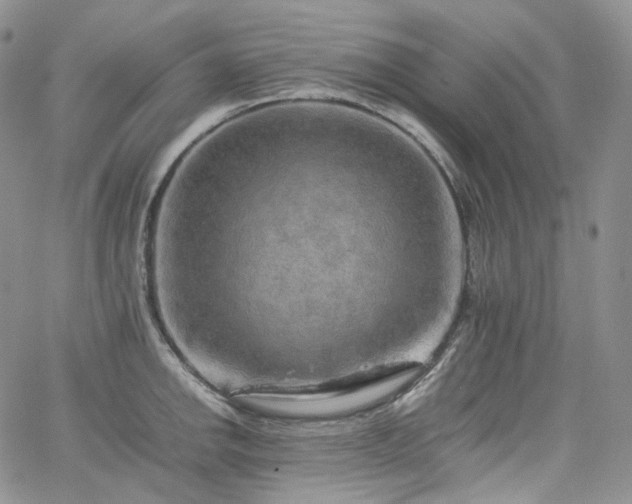 X0000062171142200512091423