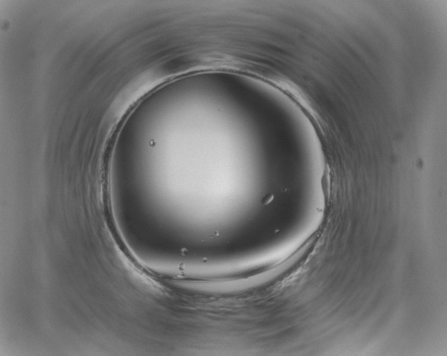 X0000062171143200512091423