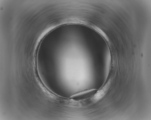 X0000062171144200512091423