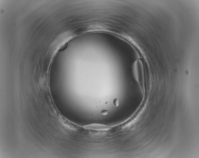 X0000062171145200512091423