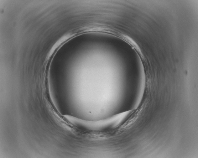 X0000062171146200512091423