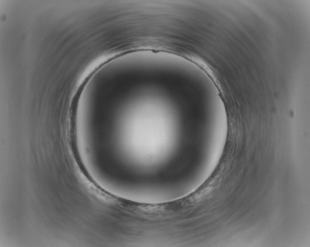 X0000062171147200512091423