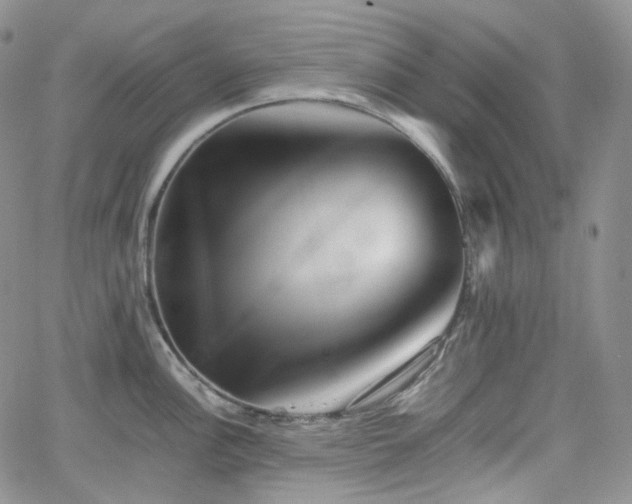 X0000062171148200512091423