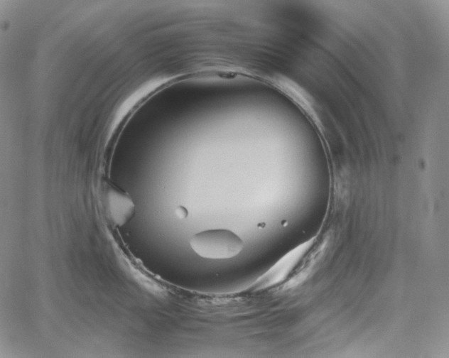 X0000062171149200512091423