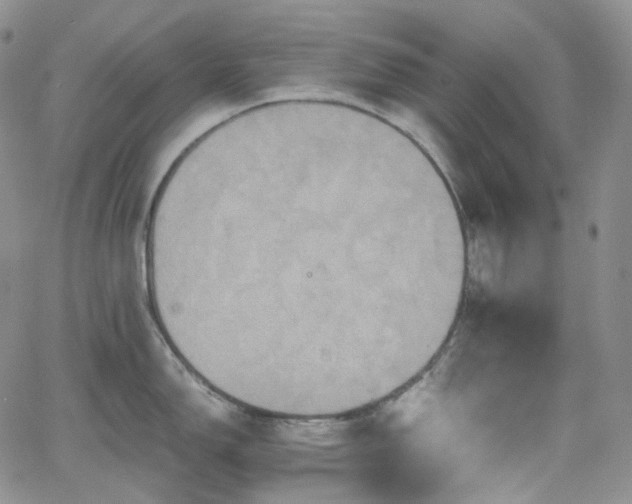 X0000062171150200512091423