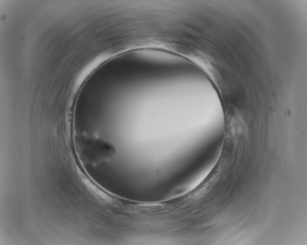 X0000062171151200512091423