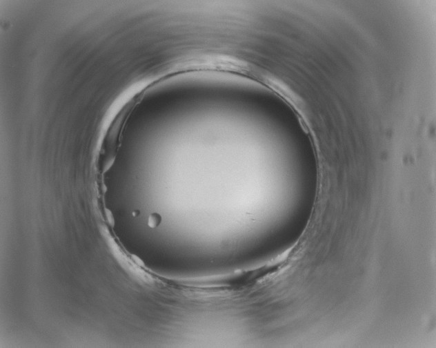 X0000062171152200512091423