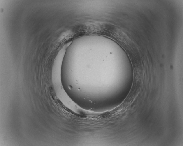 X0000062171153200512091423