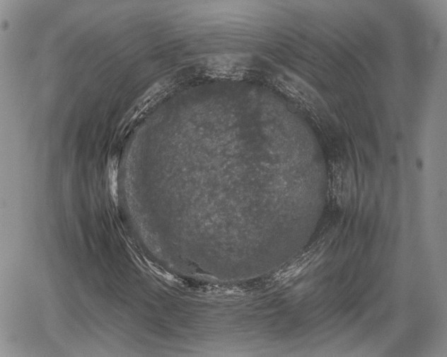 X0000062171154200512091423