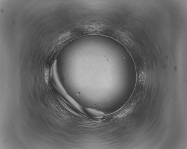 X0000062171156200512091423