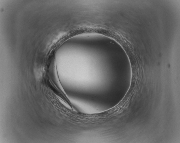 X0000062171157200512091423