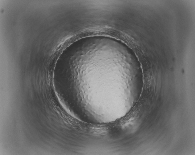 X0000062171158200512091423