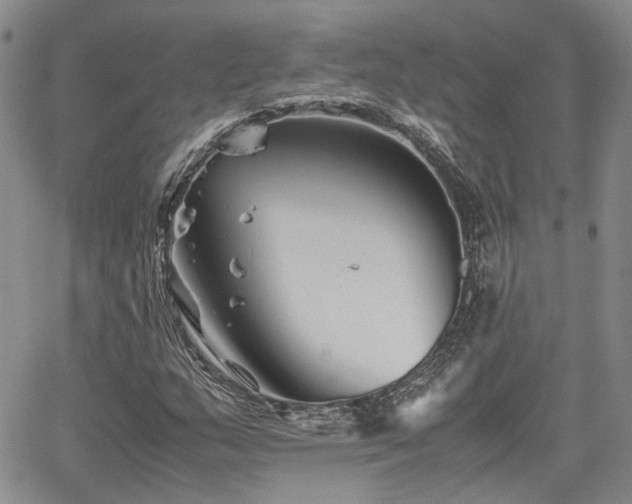 X0000062171159200512091423