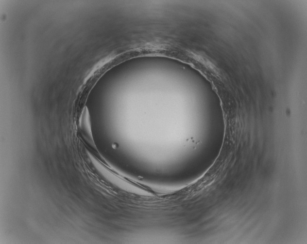 X0000062171160200512091423